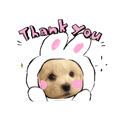 [LINEスタンプ] 本日の大福