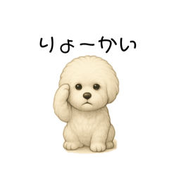 [LINEスタンプ] かわいい。ビションフリーゼ