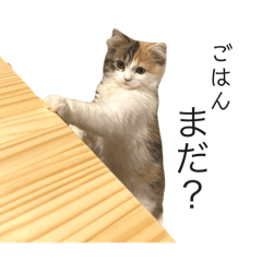 [LINEスタンプ] むうちのスタンプ②
