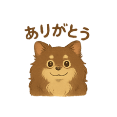 [LINEスタンプ] チョコタンチワワの挨拶スタンプ