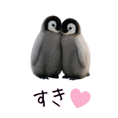 [LINEスタンプ] カップル用 犬や猫が気持ちを代弁スタンプ
