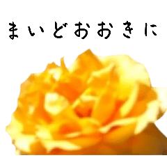 [LINEスタンプ] カンサイ・ローゼス