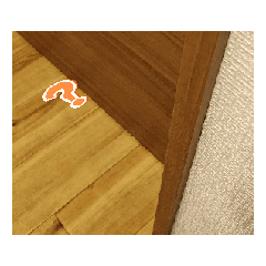 [LINEスタンプ] 三毛猫実写スタンプだにゃ