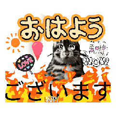 [LINEスタンプ] 動くうさちゃんリアクションスタンプ