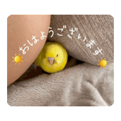 [LINEスタンプ] 動くととちゃん