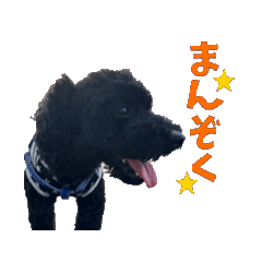 [LINEスタンプ] ずっと使えるおれおくんスタンプ