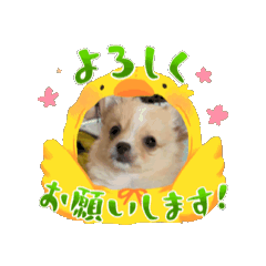[LINEスタンプ] ルゥ君です！