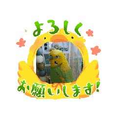 [LINEスタンプ] ToMoKo_20250421093010