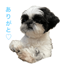 [LINEスタンプ] おこげと笑吉 2