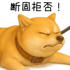 [LINEスタンプ] 柴犬の日常（2）40個／柴犬／拒否柴／豆柴