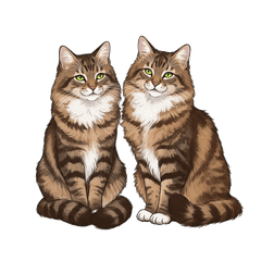 [LINEスタンプ] ノルウェージャンフォレストcatスタンプ2
