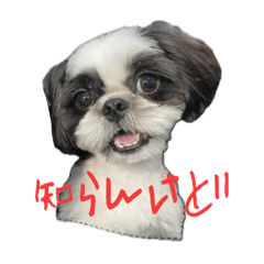 [LINEスタンプ] おこげと笑吉 3