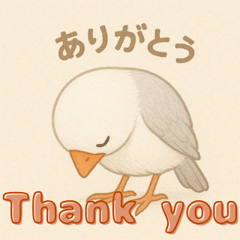 [LINEスタンプ] 可愛い小鳥の日常スタンプ