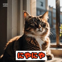 [LINEスタンプ] 猫の気持ちスタンプ2025
