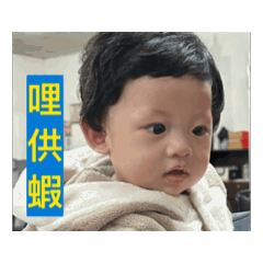 [LINEスタンプ] 子泓の日々