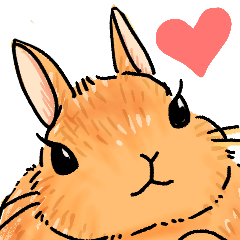 [LINEスタンプ] うさぎeveryday