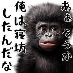 [LINEスタンプ] やる気のないゴリラの赤ちゃん！(超便利)