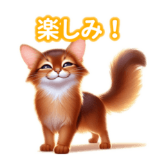 [LINEスタンプ] とにかくかわいい アビシニアン