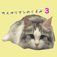 [LINEスタンプ] サイベリアンのくるみ3