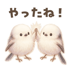 [LINEスタンプ] シマエナガの仲良しスタンプ