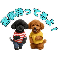 [LINEスタンプ] トイプのクロスケ君／日常使えるスタンプ