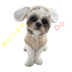 [LINEスタンプ] おこげと笑吉 5