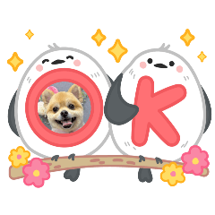 [LINEスタンプ] ポメラニアン♡うーちゃんスタンプ