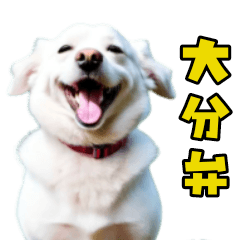 [LINEスタンプ] 大分弁のワンコさん 犬 いぬ
