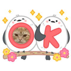 [LINEスタンプ] わが家のニャンTube☆コタロー＆むぎちゃん3