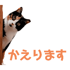 [LINEスタンプ] ミーとゲン