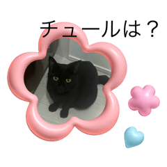 [LINEスタンプ] さくりくコンビの画像（メイン）