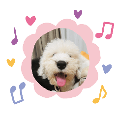 [LINEスタンプ] ガブガブアクア