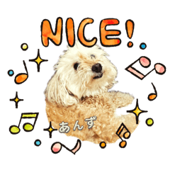 [LINEスタンプ] あんず•ザ•スタンプの画像（メイン）