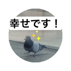 [LINEスタンプ] 生きてるっていいね！