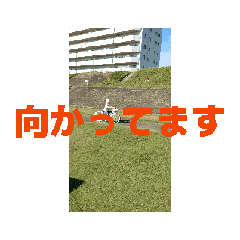 [LINEスタンプ] OK！OK！Oh！OK！