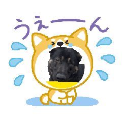 [LINEスタンプ] わんちゃんno2