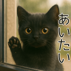 [LINEスタンプ] 可愛い黒猫の日常スタンプ！3Dリアル