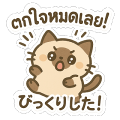 [LINEスタンプ] シャム猫のゆるかわタイ語スタンプ