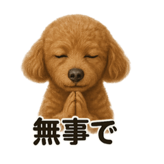 [LINEスタンプ] お祈りするトイプードル