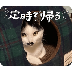 [LINEスタンプ] ニーとチョビ
