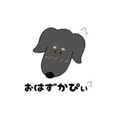 [LINEスタンプ] 黒ダックスちゃん