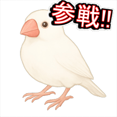[LINEスタンプ] 可愛い白文鳥ふーちゃんスタンプ