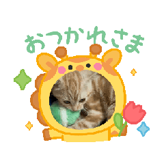 [LINEスタンプ] ニャンズの相棒1