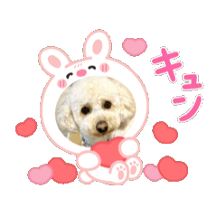 [LINEスタンプ] かわいいポッちゃん