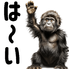[LINEスタンプ] (超便利)赤ちゃんゴリラの脱力系スタンプ♪