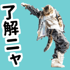 [LINEスタンプ] おしゃれなストリートダンス猫の日常生活