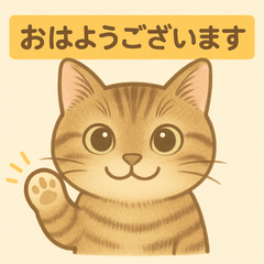 [LINEスタンプ] やさしめ猫スタンプ