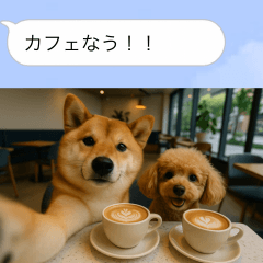 [LINEスタンプ] 自撮りする柴犬の日常