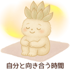 [LINEスタンプ] ヨガするマインドフルな多肉植物たち