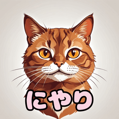 [LINEスタンプ] 表情ゆたか！ねこスタンプ